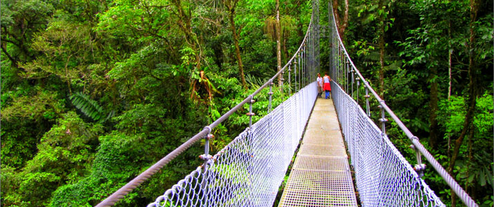 Arenal Hanging Bridges - Pont 2 Arenal Hanging Bridges Ponts suspendus Jungle