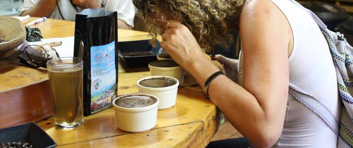 Desafios Tours - Tour de Café Desafios Tours - Tour de Café