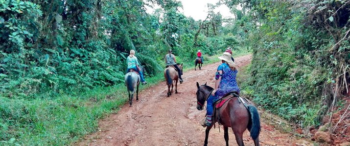 Desafios Tours - Cheval Desafios Tours - Cheval