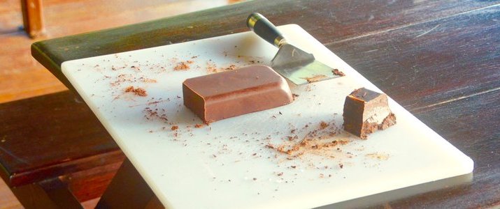 La Anita Rainforest Lodge Chocolate Tour - Lingot de Chocolat La Anita Rainforest Lodge Chocolate Tour - Lingot de Chocolat