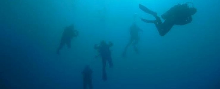 Punta Uva Divers - Plongée Punta Uva Divers - Plongée