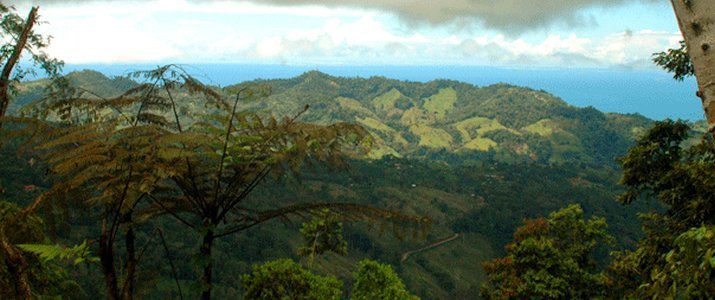 Diamante Verde Waterfalls - Pacific Journeys - Panorama Diamante Verde Waterfalls - Pacific Journeys - Panorama