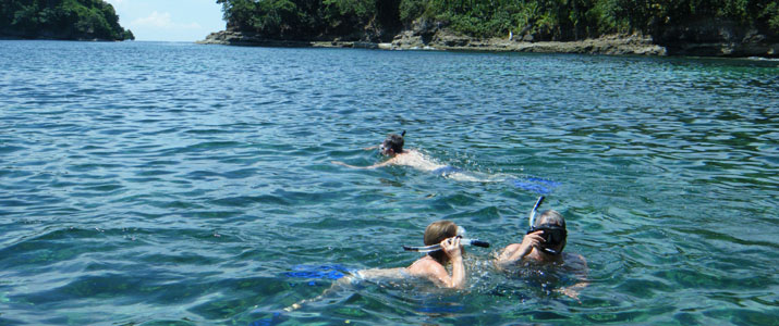 CR snorkeling tours 2 CR snorkeling tours 2 Alt mer observation faune marine