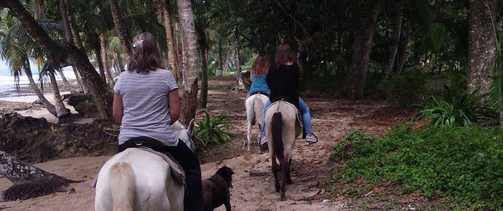 The Prancing Pony - Balade à travers la jungle à Cheval The Prancing Pony Caraïbes Sud Punta Uva Balade Cheval Jungle plage verdure