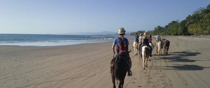 Tokpela - Plage Tokpela cheval plage