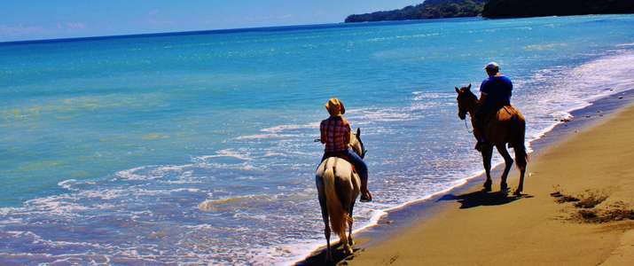 Randonnée à cheval sur la plage Cheval, nature, mer, plage, balade, corcovado, osa, puerto Jimenez, activité, costa rica