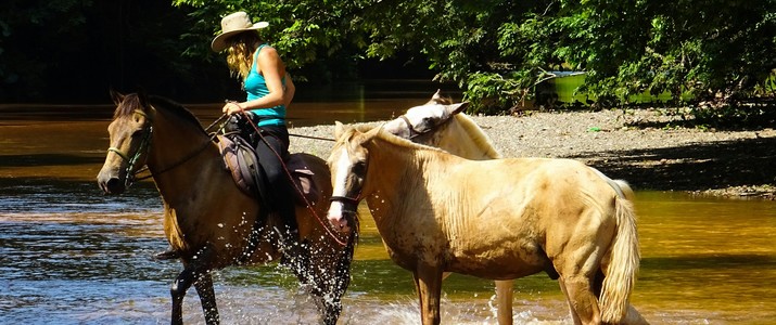 Cheval rivière Horse Jungle balade cheval rivière