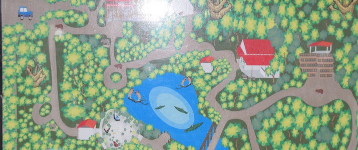 Ecocentro Danaus La Fortuna Plan Ecocentro Danaus La Fortuna Plan