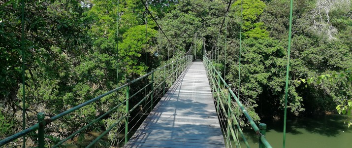 Réserve biologique de La Selva Puerto Viejo de Sarapiqui pont suspendu Réserve biologique de La Selva Puerto Viejo de Sarapiqui pont suspendu
