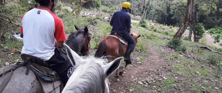 Calbagata los felos San Gerardo de dota balade à cheval Calbagata los felos San Gerardo de dota balade à cheval