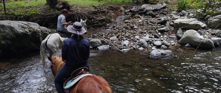 Calbagata los felos San Gerardo de dota balade à cheval Calbagata los felos San Gerardo de dota balade à cheval