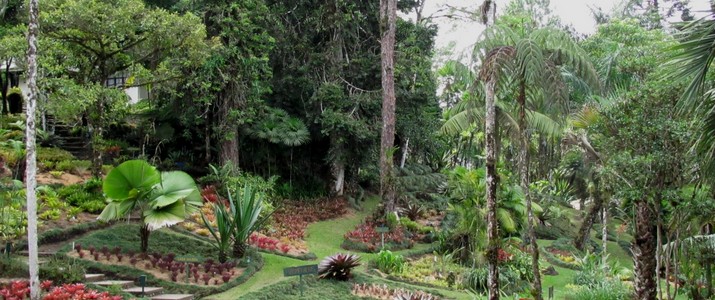 Jardin botanique Wilson station biologique las cruces san vito plantes Jardin botanique Wilson station biologique las cruces san vito plantes