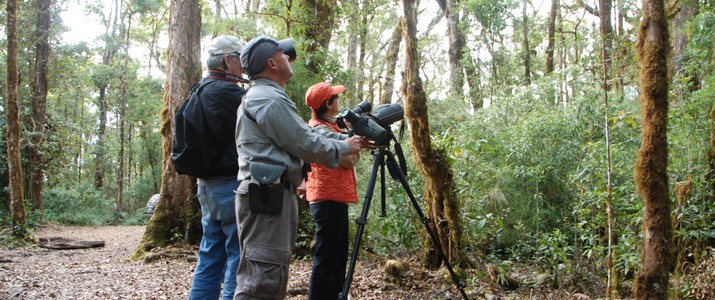 Batsu Garden San Gerardo de Dota observation Batsu Garden San Gerardo de Dota observation