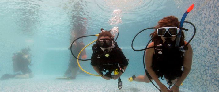 Rich Coast Diving Rich Coast Diving plonger