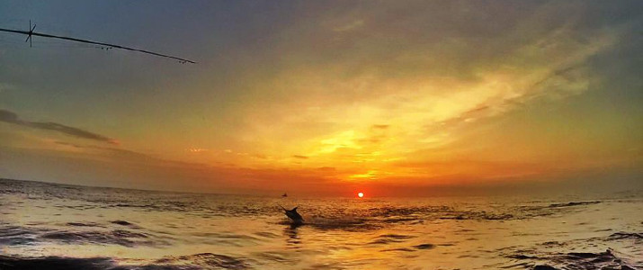 Yellowfin Sportfishing Yellowfin Sportfishing