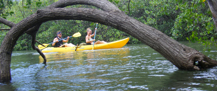 Arenas Adventures Arenas Adventures kayak