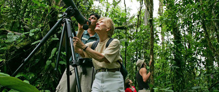 Rainforest Adventures Atlantic Rainforest Adventures Atlantic observation