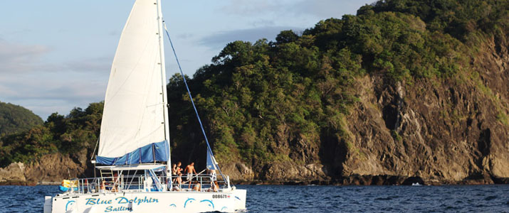 Blue Doplhin Sailing Blue Doplhin Sailing voilier