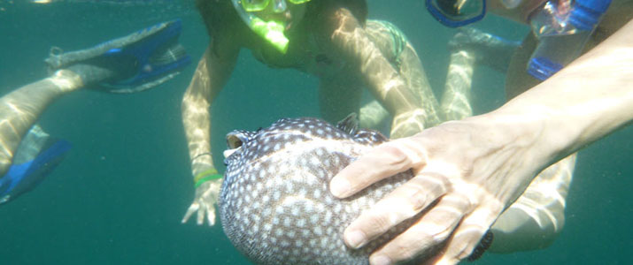 Samara Adventure Company Samara Adventure Company