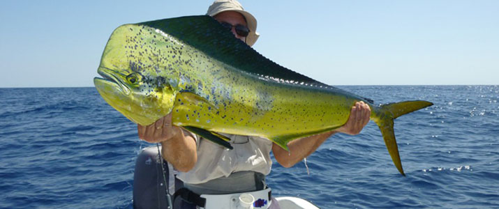 Samara Fishing trip Samara Fishing trip poisson