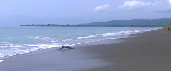 Corcovado Dreams 3 Corcovado Dreams 3 Alt plage