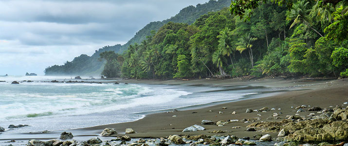 Corcovado Dreams 4 Corcovado Dreams 4 Alt plage