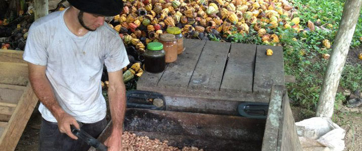 Finca Kobo 1 Finca Kobo 1 Alt artisanat chocolat cacao