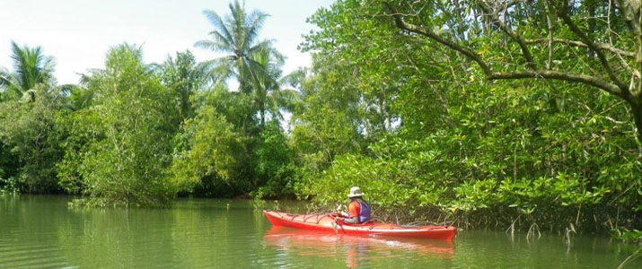 Osa Services 2 Osa Services 2 Alt kayak