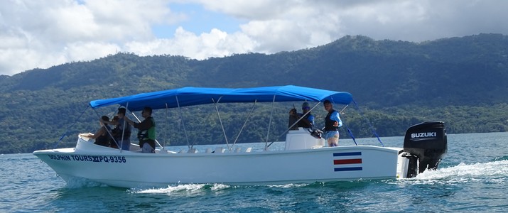 Titre 1 Dolphin Tour Alt 1 mer bateau