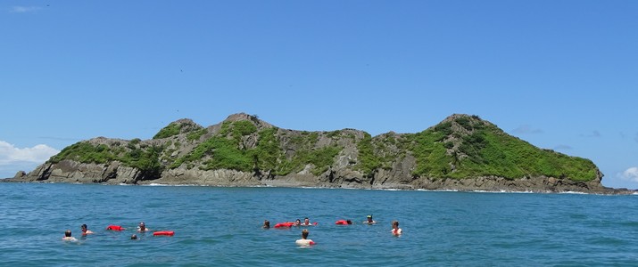 Titre 3 Dolphin Tour Alt 3 baleine dauphin mer snorkelling