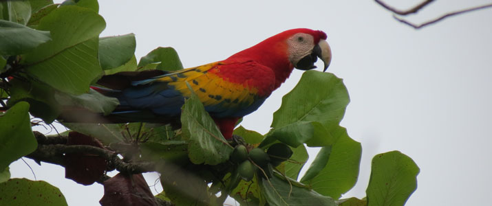 Hacienda Nosavar Hacienda Nosavar ara