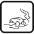 Observation de tortues Observation de tortues