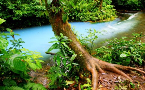 Rio Celeste Coins à ne pas rater, meilleurs sites touristiques, volcans, parcs nationaux, activités à faire