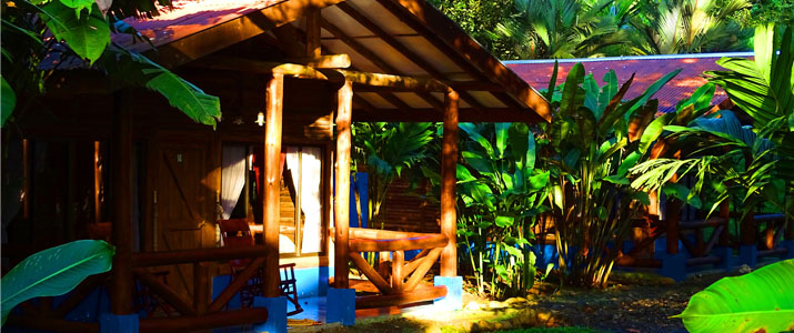 Pedacito de Cielo - Terrasse Pedacito de Cielo Boca Tapada Cabinas en Bois sur piloti Jungle Terrasse Jardin Luxuriant