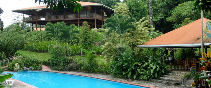 Finca Luna Nueva - Rancho, Piscine et Hotel Finca Luna Nueva Chachagua Piscine Hotel Cabinas Verdure Luxuriante Rancho