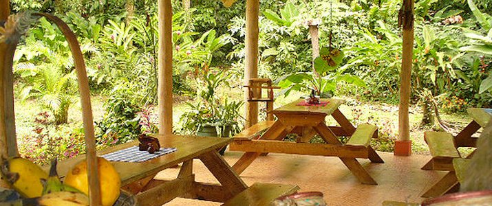 Arenal Oasis Ecolodge - Restaurant Arenal Oasis Ecolodge La Fortuna Volcan Jungle Restaurant