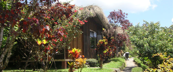 Kokoro - Hotel et Jardin Kokoro Arenal La Fortuna Jardin Coloré Bois Hotel