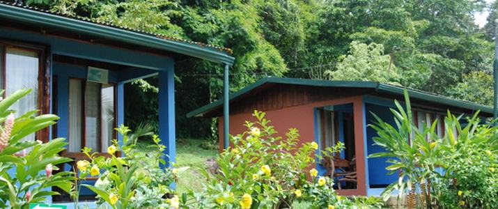 Ara Ambigua - Hotel Ara Ambigua Sarapiqui La Virgen Braulio Carrillo Hotel Bungalows