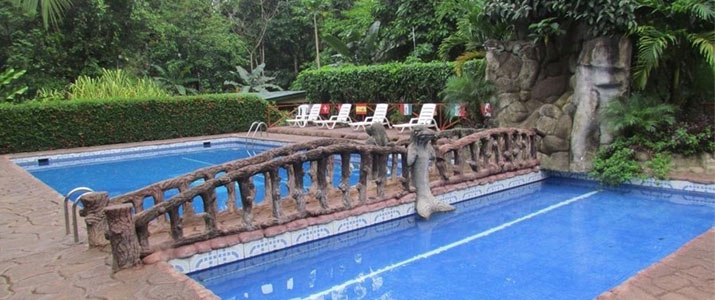 Ara Ambigua - Piscine Ara Ambigua Sarapiqui La Virgen Braulio Carrillo Hotel Piscine