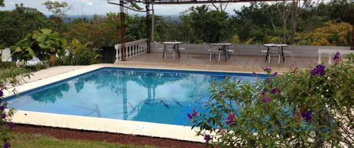 Josipek - Piscine Josipek Chachagua Piscine Verdure Fleurs Violettes