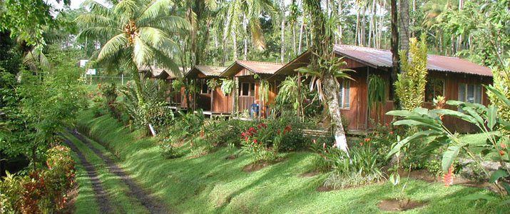 Josipek - Cabinas et Jardin Josipek Chachagua Cabinas en Bois Pleine Nature Verdure Luxuriante Jungle
