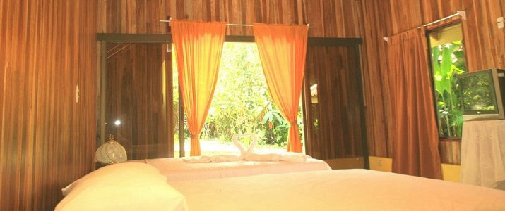 Selvita Lodge - Chambre Double Selvita Lodge Arenal La Fortuna Chambre