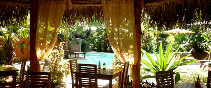 El Pequeño Gekco Verde - Restaurant El Pequeño Gekco Verde Samara Nicoya Guanacaste Restaurant