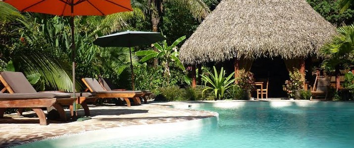 El Pequeño Gekco Verde - Piscine El Pequeño Gekco Verde Samara Nicoya Guanacaste Piscine