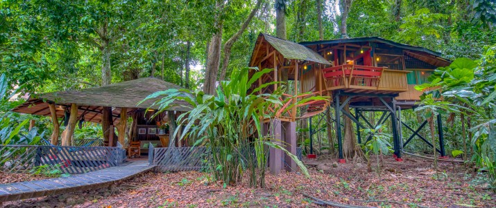 Intérieur d'une cabane Tree house lodge Caraïbes Sud Puerto Viejo de Talamanca intérieur en bois spacieux d'une cabane dans les arbres