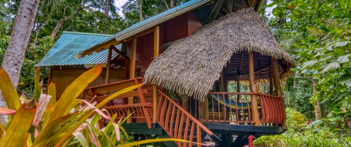 Terrasse en bois Tree house lodge Caraïbes Sud Puerto Viejo de Talamanca terrasse en bois dans les arbres pleine forêt hamac