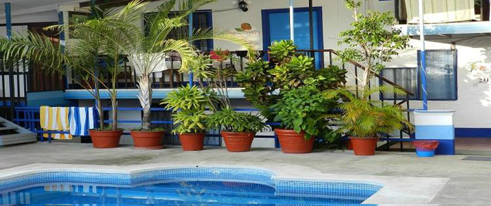 Flor Blanca Piscine Flor Blanca Pacifique Centre Costa Rica Hotel Piscine