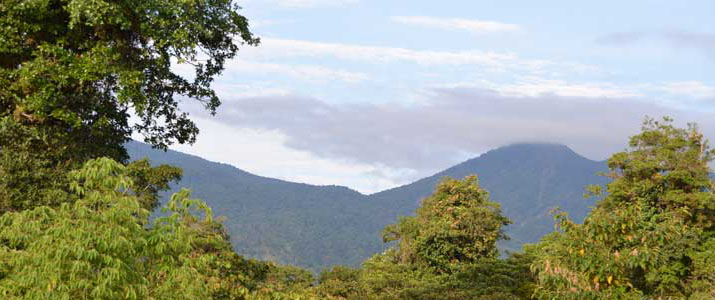 Albergue El Socorro - Vue Braulio Carrillo Albergue El Socorro Arenal Puerto Viejo de Sarapiqui San Miguel Vue Braulio Carillo