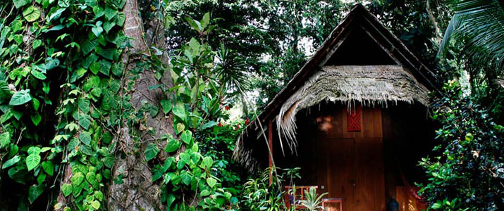 Hutte Shawandha lodge Caraïbes Sud Puerto Viejo de Talamanca hutte toit en palme dans la jungle