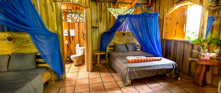 Bungalow La casa de papito Caraïbes Sud Puerto Viejo de Talamanca bungalow en bois nature jungle
